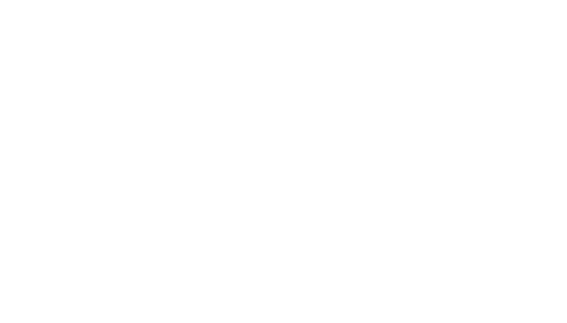 Black White Zebra